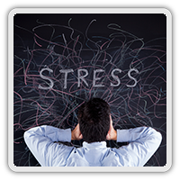 Comprehensive Chiropractic Care in Marin