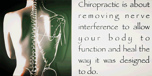 Marin Chiropractor