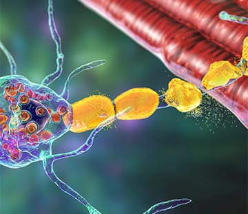 Peripheral Neuropathy in Novato